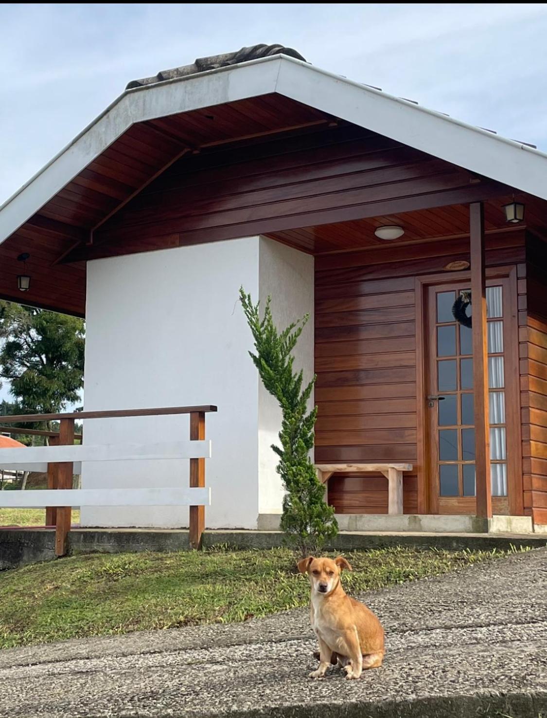 Chale Amanhecer Hotel Santo Antônio do Pinhal Eksteriør billede
