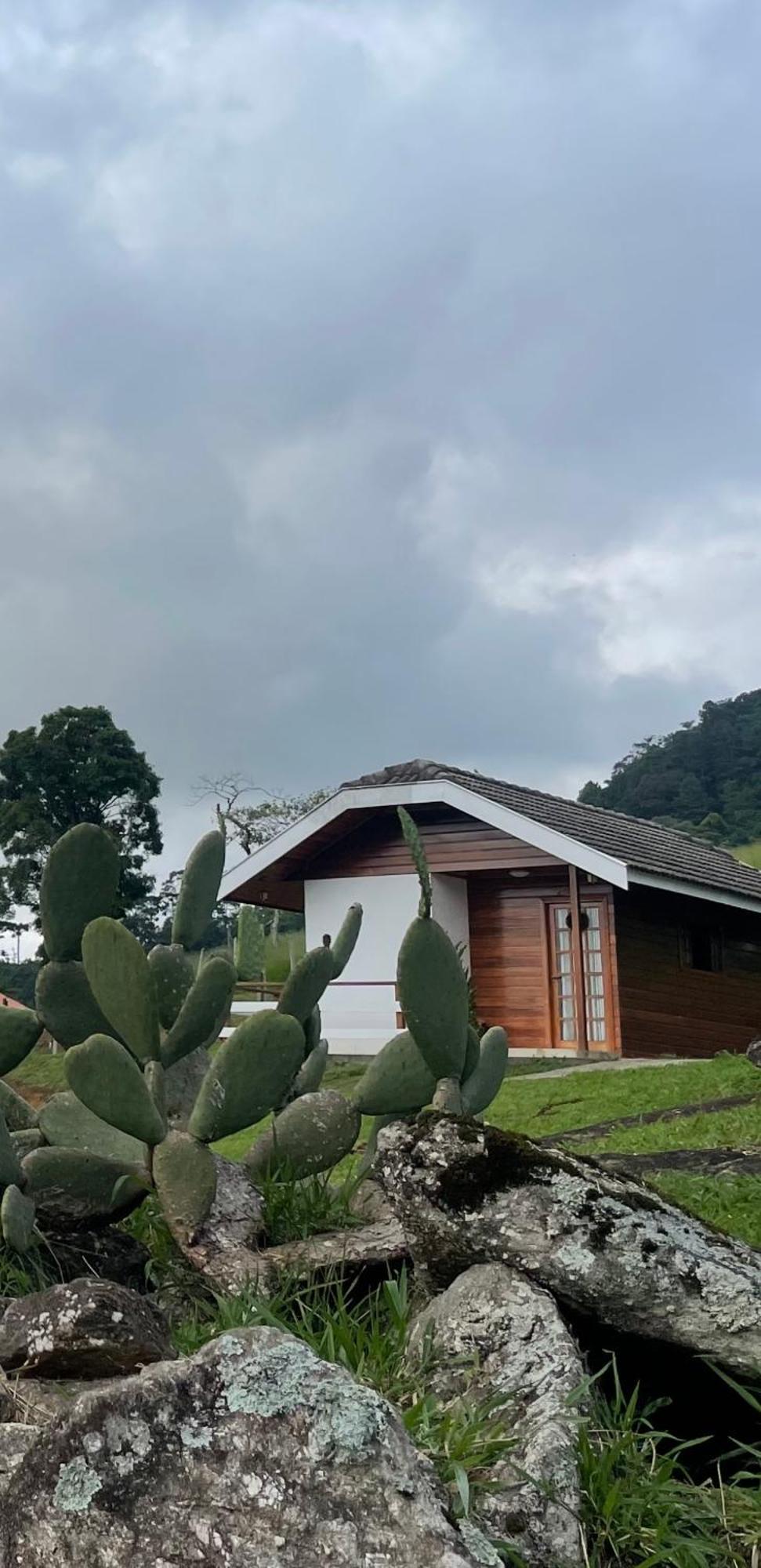 Chale Amanhecer Hotel Santo Antônio do Pinhal Eksteriør billede